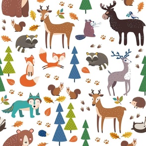 Animals In The Woodland