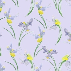 Irises lilac sml