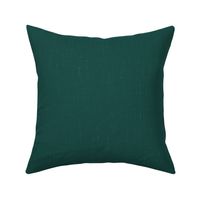 Brunswick green, emerald  textured solid  - coordinate for the mountains are calling collection