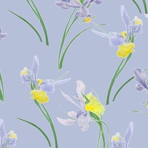 Irises blue lg