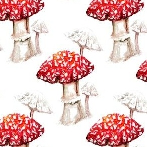 watercolour deathcap mushrooms