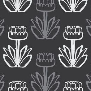 Waratah Flower Outline - Australian Native Wildflower - black, grey, white - medium