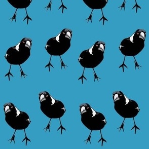 Magpie Birds in Horizontal Rows on Blue - Medium