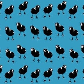 Magpies Birds in Rows on Blue - Small