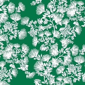 White on Green-o-hi-a-lehua-blossom