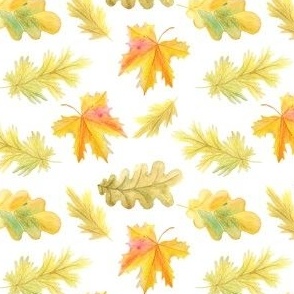 Fall Autumn Leaves Changing Colors Yellow Orange Green