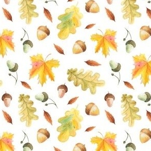 Fall Autumn Foliage Acorns Leaves Yellow Brown Green Orange