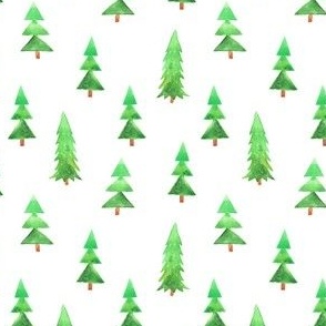 Pine Trees Winter Christmas Mountains Cold Green Brown