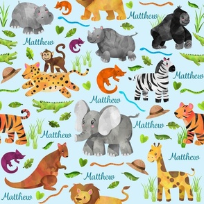 Matthew's Safari