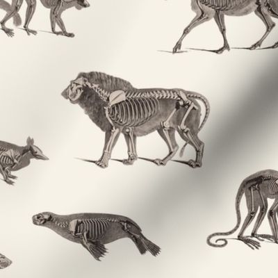 SKELETON MENAGERIE - SEPIA SMALL