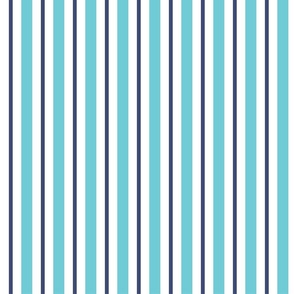 Navy Blue Turquoise Stripes