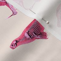 SKELETON MENAGERIE - FLAMINGO PINK SMALL