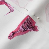 SKELETON MENAGERIE - PINK SMALL