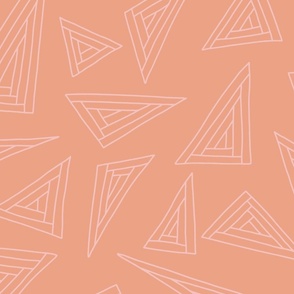 Large pink outlined triangles on an orange tacao 24