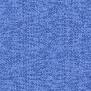 Blue_woven