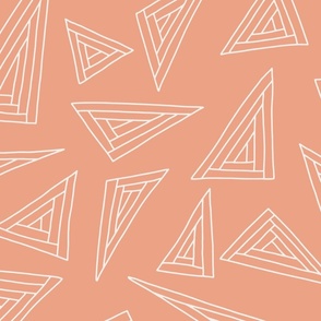 Large white outlined triangles on orange 24