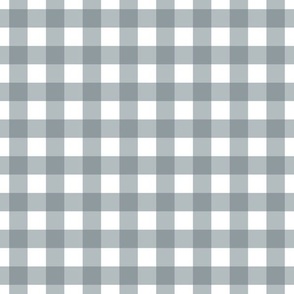 Gingham - Slate - Medium