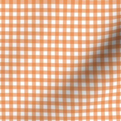 Gingham - Carrot - Small