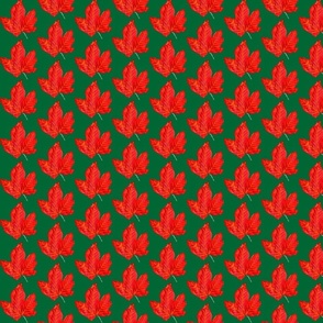 Maple Leaf