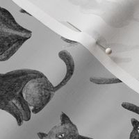 Black cats - grey background