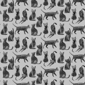 Black cats - grey background