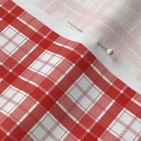 Simple Bright Red Plaid