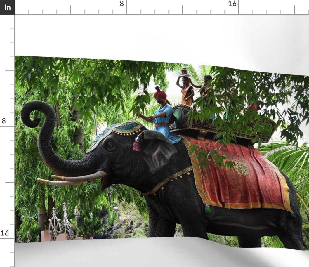 elephant mural photography