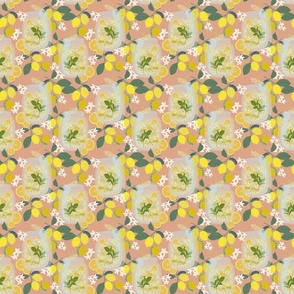 Eldeflower on peach background - 4.5