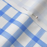 Coastal Blue Watercolor Gingham Plaid  - Medium Scale - Painted Checkers Picnic Country