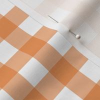 Gingham - Carrot - Medium