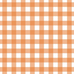 Gingham - Carrot - Medium