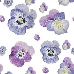 Watercolor Pansies