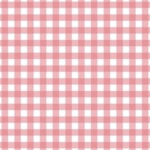 Gingham - Watermelon - Small