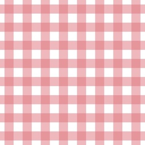 Gingham - Watermelon - Medium