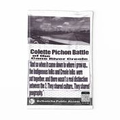 Colette Pichon Battle Public Access poster
