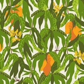 Tropical sweet juicy mango fruit tree foliage green leaves orange dragonfly