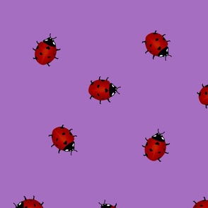 Ladybug_Fabric_-_Purple