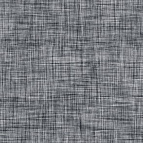 02 Graphite- Linen Texture- Light- Petal Solids Coordinate- Solid Color- Faux Texture Wallpaper- Halloween- Witch- Spooky- Gray- Grey