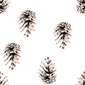 Pine Cones 