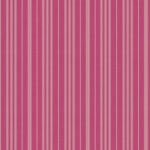 Classic Raspberry Stripes - Small Scale