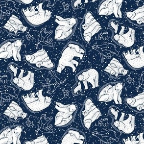 Polar Bear and Constellations / Micro Scale