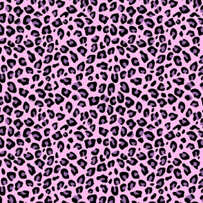 Small Purple Pink Leopard Print