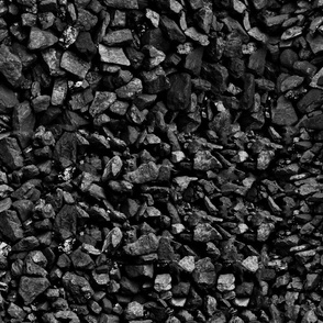 Coal for Christmas Small