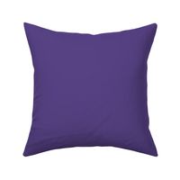 28 Grape- Petal Solids Match- Solid Color- Purple- Violet- Halloween