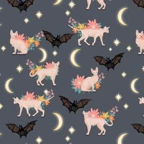 Sphynx cats and bats at midnight on dark grey background 