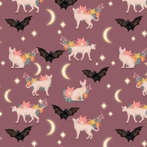 Sphynx cats and bats at midnight on china pink background 