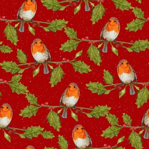  Christmas Robin and Holly Branch on a snowy background | Medium Scale