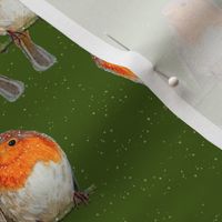 Christmas Robin and snowflakes on Green | Medium Scale