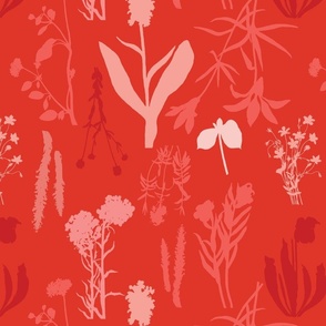 Flower Cuttings in Coral and Pink on Red