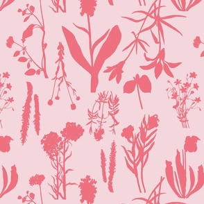 Flower Cuttings in Pinks